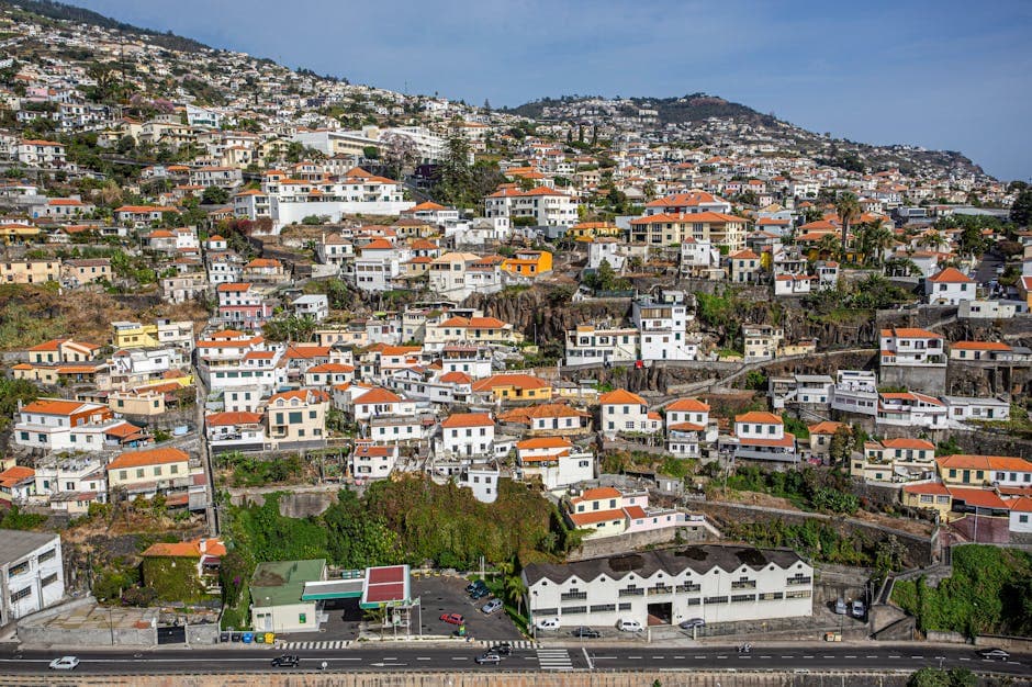 funchal harbor coast