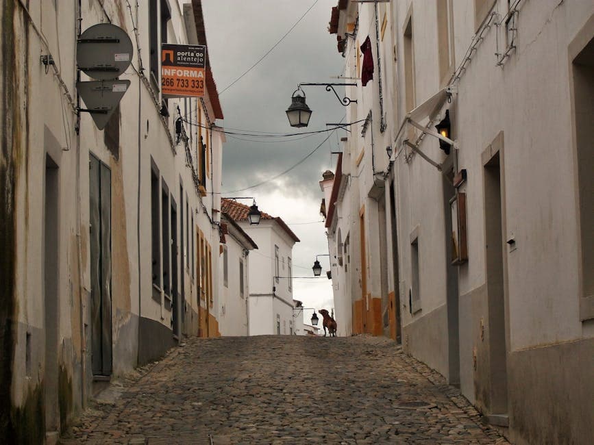 portuguese cobblestone street