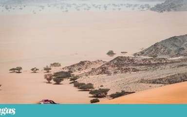 Maria Luís Gameiro's Dakar Rally Journey: A Lesson in Perseverance for Expats