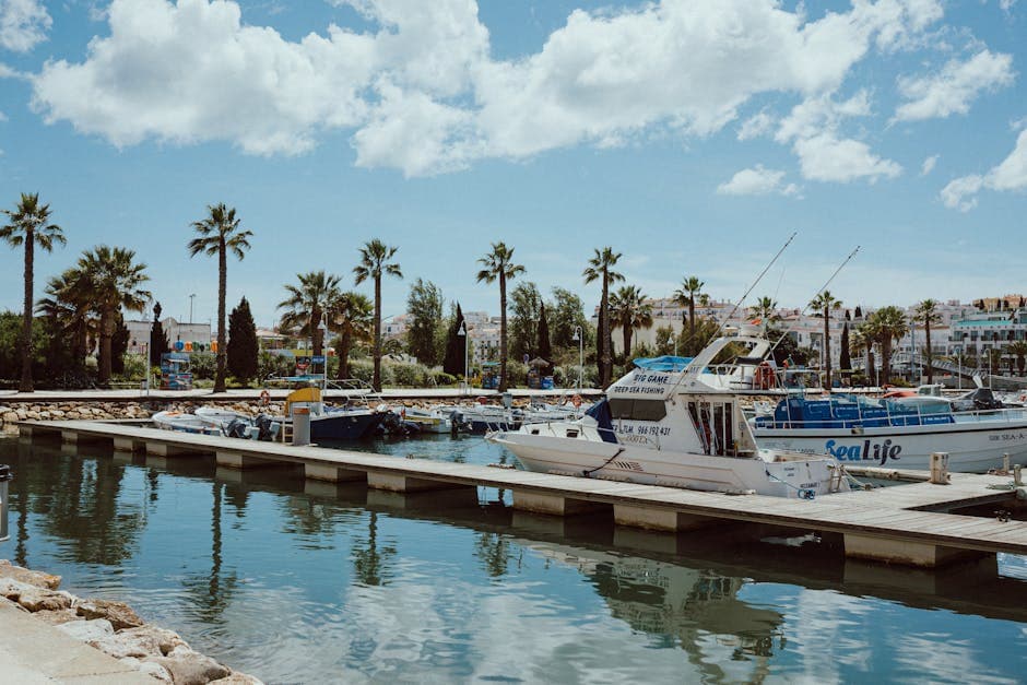 faro marina boats